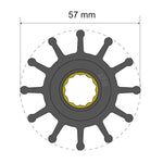 Albin Pump Premium Impeller Kit 57 x 16 x 48.2mm - 12 Blade - Spline Insert [06-01-014] 1st Class Eligible, Brand_Albin Pump Marine, Marine